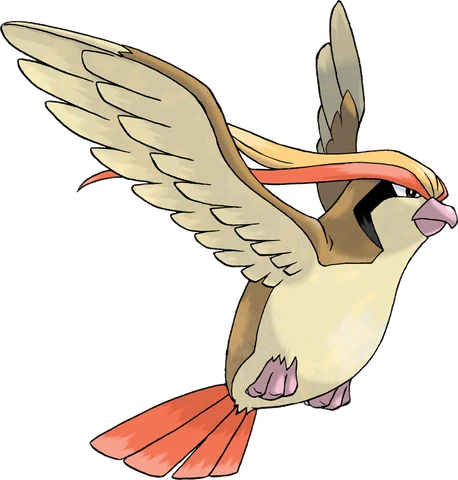 Pidgeot artwork
