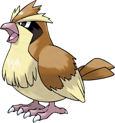 Pidgey artwork