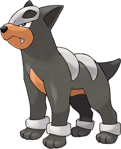Houndour artwork