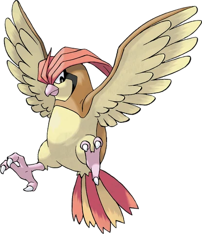 Pidgeotto artwork